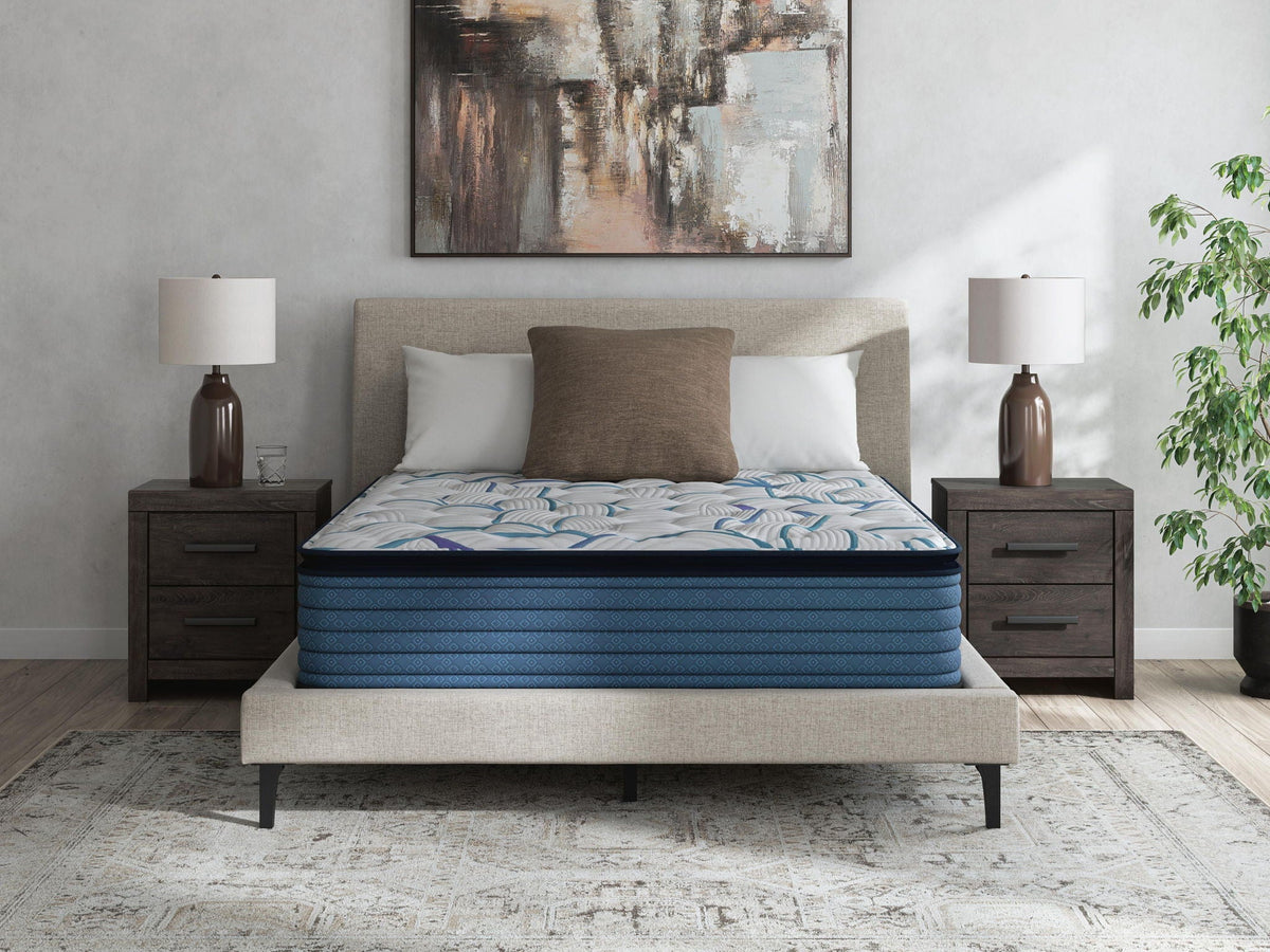 Sleep & Bedding