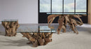 One - Solid Teak Root Glass Top Table