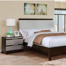  Furniture of America Euclid 2-Drawer Nightstand CM7206N IMAGE 3