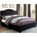  Furniture of America Cressida Full Platform Bed CM7421BK-F-BED IMAGE 1