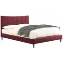  Furniture of America Ennis King Upholstered Panel Bed CM7678RD-EK-BED IMAGE 2