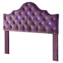  Furniture of America Bed Components Headboard CM7404PR-HB-T IMAGE 2