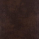  Furniture of America Pollux Reclining Leatherette Sofa CM6981BR-SF IMAGE 3
