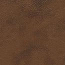  Furniture of America Pollux Reclining Leatherette Sofa CM6864-SF IMAGE 3