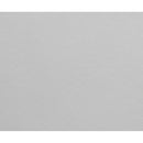  Furniture of America Reanna Stationary Leatherette Sofa CM6414WH-SF IMAGE 4