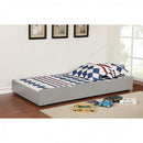  Furniture of America Kids Beds Trundle Bed CM-TR453-GYB IMAGE 1