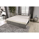  Furniture of America Daybeds Daybeds CM1745GY-BED IMAGE 4