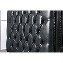  Furniture of America Sabini Stationary Leather Chair CM6009-CH IMAGE 4