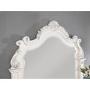 Furniture of America Esparanza Dresser Mirror CM7478WH-M IMAGE 3