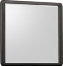 Xolani - Beveled Glass Wall Or Dresser Mirror - Jaguar