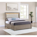 Coaster Furniture Kenora 224850Q 56-inch Queen LED Storage Bed - Barley Brown IMAGE 8