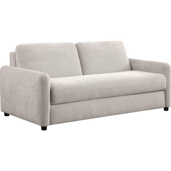 Coaster Furniture Rylie Fabric Queen Sofabed 360027 IMAGE 1