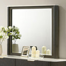  Furniture of America Lantrisant FM72014DW-M Mirror IMAGE 1