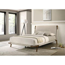 Furniture of America Didcot FM72025BG-Q-BED Queen Bed IMAGE 2