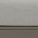Visola - Lounge Chair With Cushion (Set of 2) - Gray