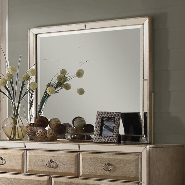 Acme Furniture Voeville Dresser Mirror 21004 IMAGE 1