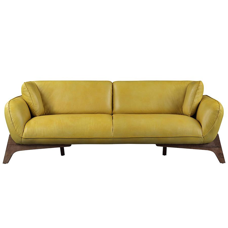 Acme Furniture Pesach Stationary Leather Sofa 55075 IMAGE 1